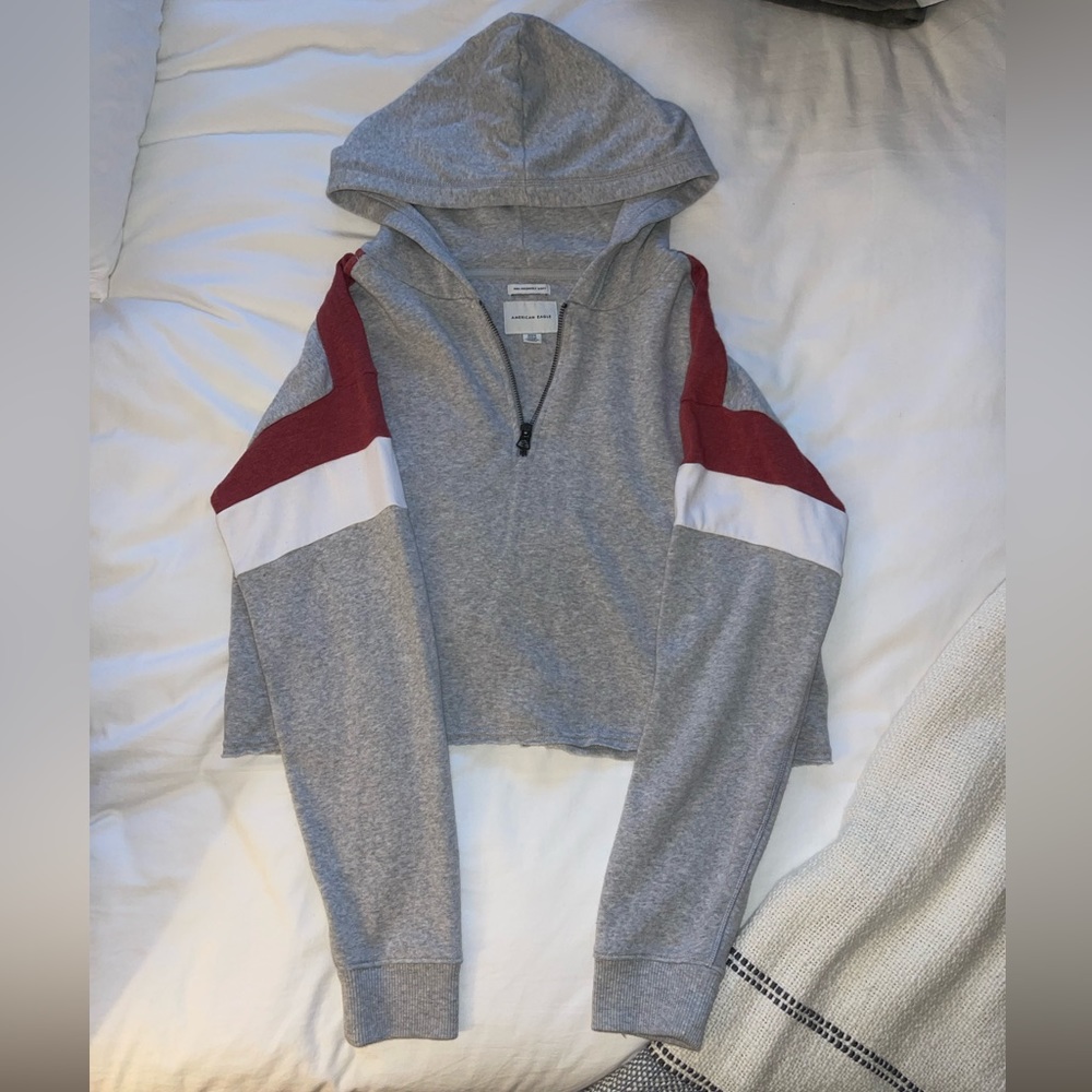 American Eagle Crop Hoodie